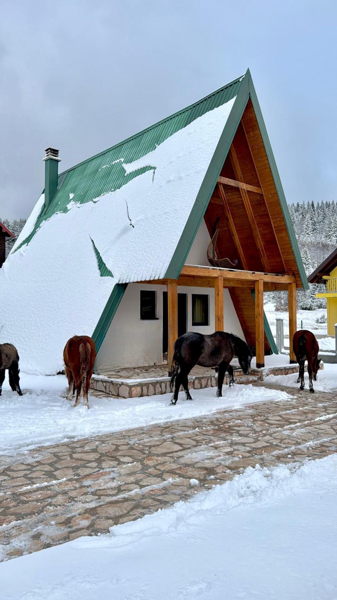 Woodside Zabljak Kültér fotó